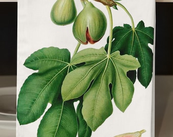 Peut inclure: Une serviette de cuisine blanche avec une branche de figuier verte et des feuilles, trois figues vertes et une figue rouge. Les figues sont représentées dans un style d'illustration botanique vintage.