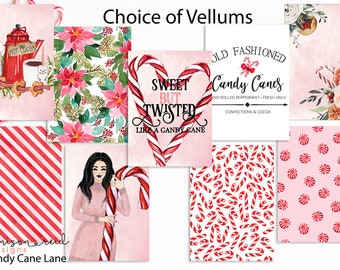 Candy Cane Lane Planner Vellum / Fashion Girl Vellum / hobo / HP / leopard / Traveler's Notebooks / Ring Planners / Happy Planner