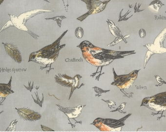 Birds > vintage Grey (16910-12) de la collection de tissus Moda 'Botanicals' de Janet Clare