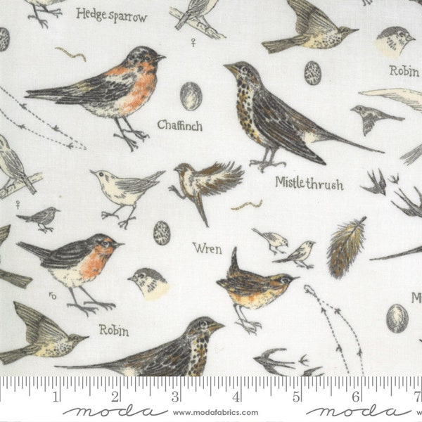 Birds > Parchment (16910-11) de la collection de tissus Moda 'Botanicals' de Janet Clare