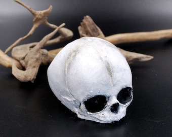 Baby Skull Decor - Fetal Skull | Concrete Skull | Gothic Decor | Skull Decor