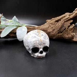 May include: A small, decorative skull with a weathered, white and gold finish. The skull has large, black eye sockets and a small nose cavity. The skull is a unique decorative item.