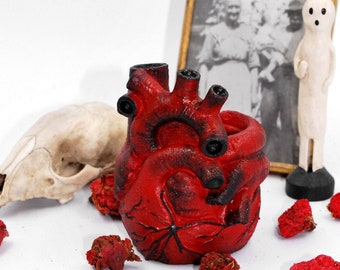 Anatomical Human Heart | Concrete Heart | Red Heart |  Mini  Succulent Planter |  Gothic Heart | Dark Academia