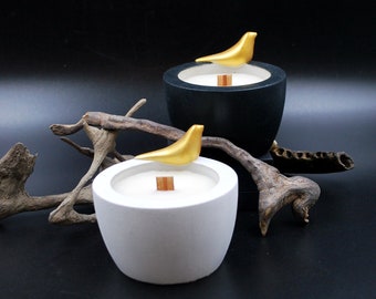 Votive Bird Candle - Tomato Leaf Scented Candle | Gothic Candle | Farmhouse Cement Candle | Cement Candle | Bird Gift
