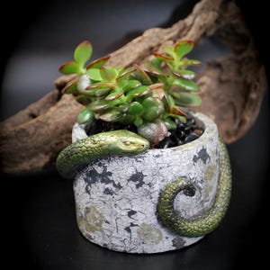 Könnte beinhalten: Handgefertigtes Holzschild mit dem Wort "Welcome" in verspielter Schrift. Es hat einen weißen, abgenutzten Hintergrund und einen dunkel gebeizten Holzrahmen. Ideal, um jedem Zuhause einen Hauch von rustikalem Charme zu verleihen.