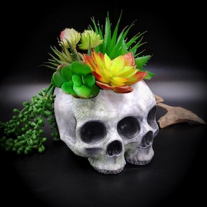 Puede incluir: Una maceta gris con forma de calavera llena de suculentas falsas de colores. La maceta tiene un aspecto envejecido con detalles verdes. Las suculentas incluyen tonos verdes, amarillos y rojos, creando un contraste llamativo con la calavera.