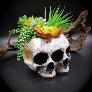 May include: A skull-shaped planter with a distressed silver and gold finish, filled with vibrant artificial succulents. The planter has two eye sockets and a nose cavity. The succulents include green, yellow, and red hues, creating a striking contrast against the dark background.