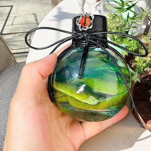 May include: A clear, round glass bottle with a black cap and a decorative red eye-shaped embellishment. Inside, a green snake is suspended in a liquid. The bottle is tied with a black cord.