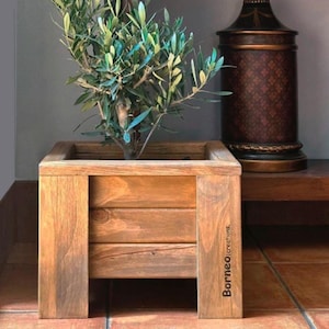 Holztopf, Pflanzgefäß aus Holz, Bonsaitopf, Stütze für Bonsai und Pflanzen, Blumentopf, Parta-Gartentopf