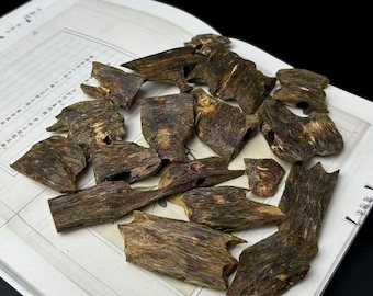 Kynam Agarwood Chips | Natural Oud | Full-Oil | For Incense & Home Fragrance