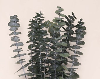 10-30 Stems High Quality Preserved green Eucalyptus, DIY Flower Arrangement,  Dried flowers home Decoration