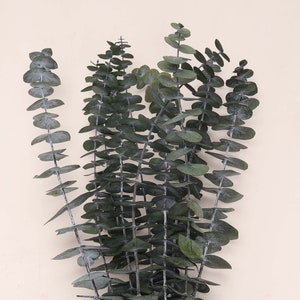 Peut inclure: Un bouquet de branches d'eucalyptus séchées avec des feuilles vertes. Les tiges sont disposées en bouquet et sont prêtes à être utilisées dans un arrangement floral.