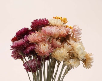 Dried Helichrysum,home wedding flower arrangement decoration,dried flower element,Handmade bouquets,orange flower