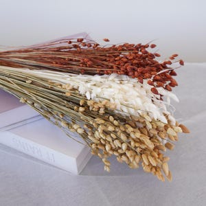 Dried Shell Grass Flower Bouquet: Natural Home Decor Arrangement