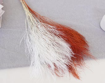 Ramas de flores secas naturales: relleno para ramos, material para manualidades DIY