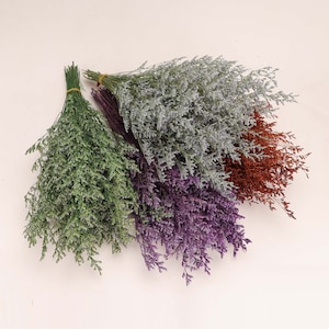Op de afbeelding: Drie bosjes gedroogde bloemen in verschillende kleuren: groen, paars en bruin. De bloemen zijn waaiervormig gerangschikt.