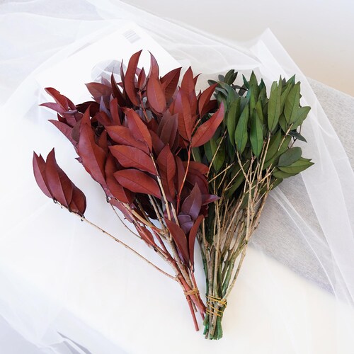 Burgundy Dried Flower Leaves: Natural Table Centerpiece,Vase flower arrangement