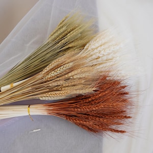 May include: A bunch of dried wheat stalks in three colours: natural, white, and reddish-brown. The stalks are tied together with a gold ribbon.