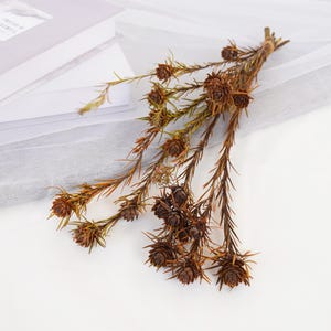 Natural Dried Flower Bouquet: DIY Craft Supply, Home Decor