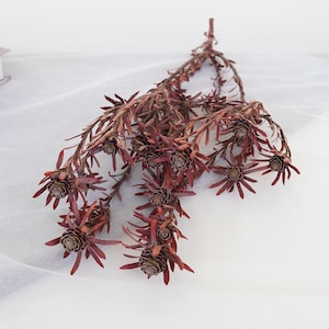 Natural Dried Flower Bouquet: DIY Craft Supply, Home Decor (15-18 in)