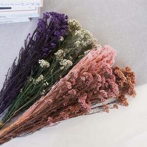 Peut inclure: Un bouquet de fleurs séchées dans des tons de violet, blanc, rose et marron. Les fleurs sont disposées en éventail, les fleurs violettes en haut et les fleurs marrons en bas.