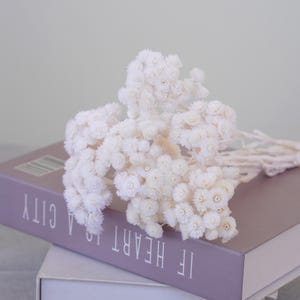 Natural Dried Flower Bouquet: Wedding Decoration, Floral Art