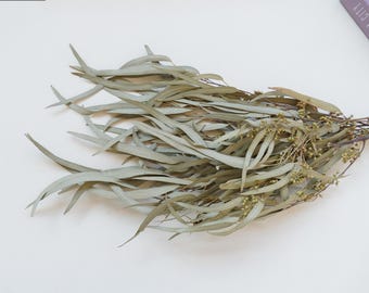 Natural Dried Eucalyptus Bunch: Table Centerpiece (15-18 in)