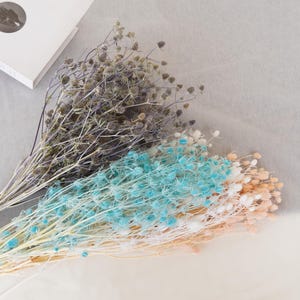 Peut inclure: Composition florale séchée avec des fleurs ressemblant à des chardons dans des tons de gris, de bleu et de pêche. Les fleurs ont des têtes épineuses et des tiges fines. L'arrangement est posé sur un fond neutre.
