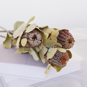 Natural Dried Protea Flower Bouquet with Banksia Stems