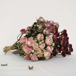 Op de afbeelding: Een boeket gedroogde rozen in roze en rode tinten. De rozen zijn in een losse, natuurlijke stijl gerangschikt, met enkele stelen nog bevestigd.