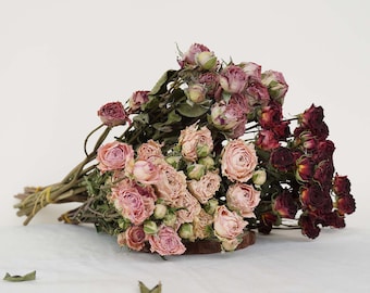 Dried rose,Dried flower DIY design elements, pink dry roses