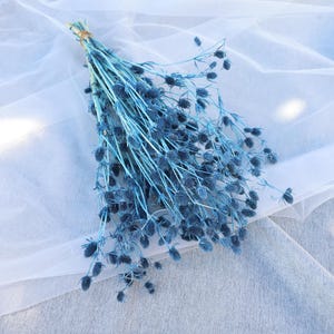 Peut inclure: Un bouquet de fleurs bleues séchées, attachées avec de la ficelle. Les fleurs ont de petites têtes de graines bleu foncé et des tiges fines. L'arrangement est posé sur un tissu blanc et transparent.