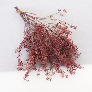 Pode incluir: Um ramo de flores secas vermelhas com caules longos e pequenas flores delicadas. As flores estão amarradas com um cordão castanho.