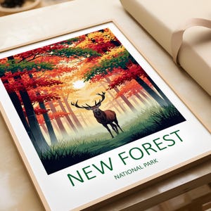 New Forest National Park Print: Hampshire Travel Poster