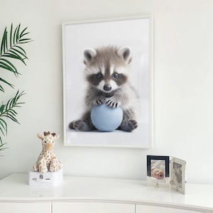 Stampa di procione per bambini, poster di procione carino, immagine da parete per la cameretta dei neonati, stampa di animali per la cameretta dei bambini, poster di animali, arte della parete della camera dei bambini