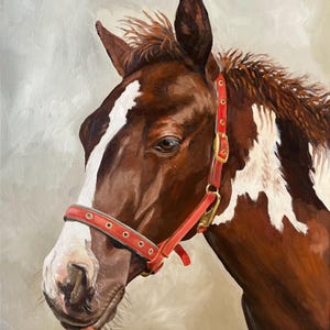 Original Oil Horse Painting on Canvas | 15.7x19.6 inches | Equestrian Art
