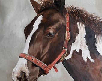 Custom horse portrait, Equine art, Portrait of a horse, Commission Horse portrait, Horse lover gift, Horse oil painting