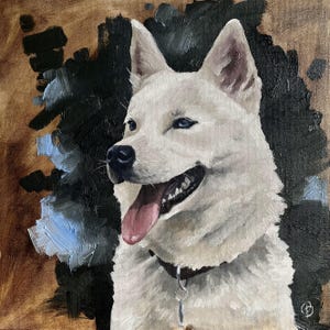 Peinture à l&#39;huile, art pour animaux de compagnie, peinture de chien, portrait d&#39;animal de compagnie, peinture d&#39;animal de compagnie, décoration d&#39;intérieur, petite peinture, idée cadeau, chiot, jack russell terrier