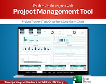 Project Management Tool | Task Tracking | Gantt Chart Scheduler | Lean Six Sigma | Excel Version