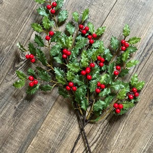 May include: A decorative holly branch featuring numerous glossy red berries and textured green leaves with pointed edges. The branch has multiple stems that converge at the base, showcasing a realistic botanical design with vibrant colors.