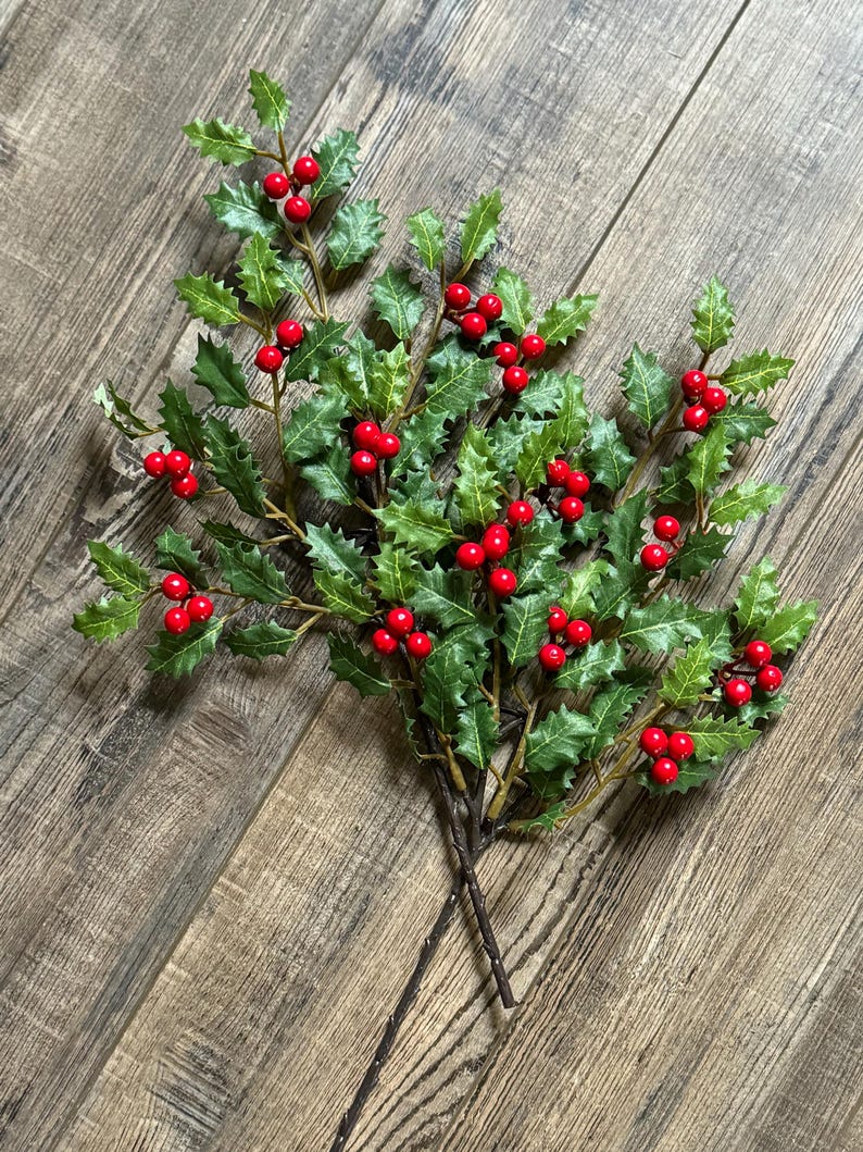 May include: A decorative holly branch featuring numerous glossy red berries and textured green leaves with pointed edges. The branch has multiple stems that converge at the base, showcasing a realistic botanical design with vibrant colors.