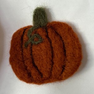 May include: A handmade, orange felt pumpkin with a green stem and vine. The pumpkin has vertical lines to define the sections. The felt has a textured appearance, and the pumpkin is set against a white background.