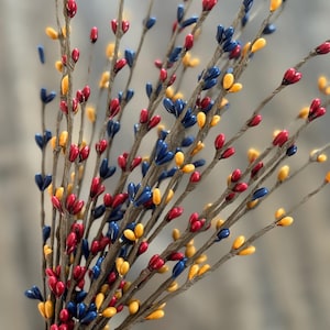 May include: A bundle of decorative branches with small, colorful berries. The berries are in shades of red, yellow, and blue, and are attached to brown, twig-like stems. The arrangement is suitable for home decor and seasonal displays.