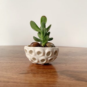 Little Lotus Bowl, White Pinch Bowl, Salt Dish, Ceramic Ring Dish, Small Porcelain Bowl image 1