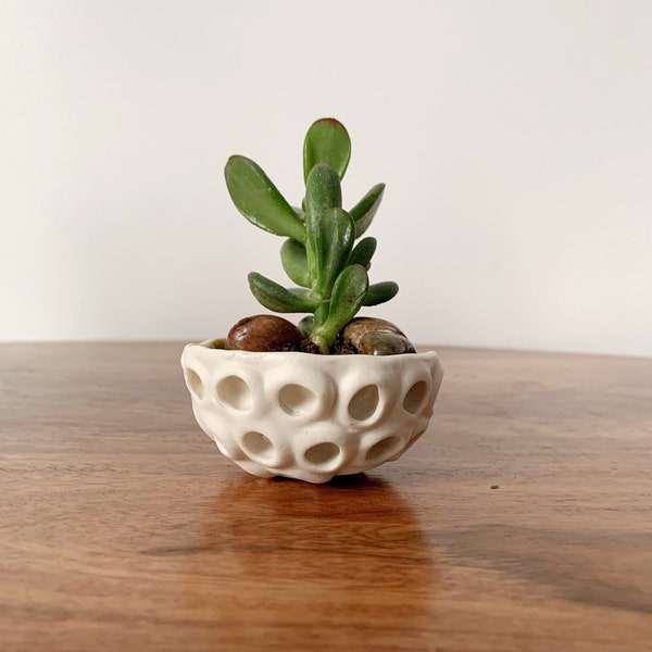 Little Lotus Bowl, White - Pinch Bowl, Salt Dish, Ceramic Ring Dish, Small Porcelain Bowl