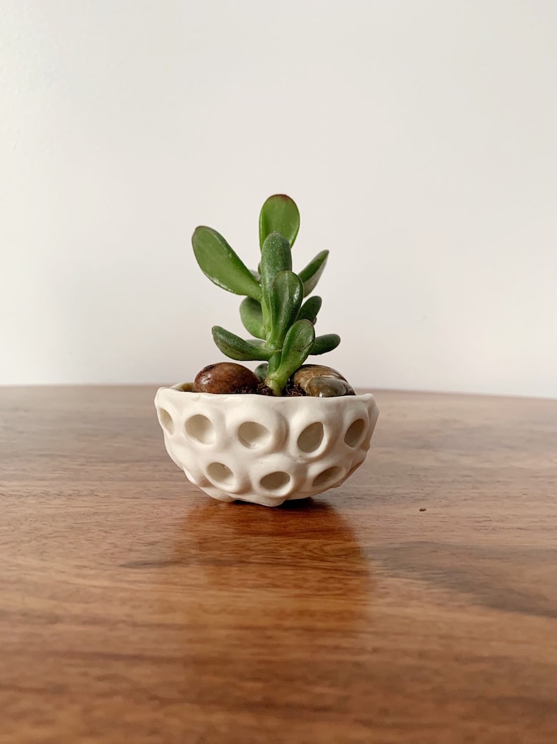 Little Lotus Bowl, White Pinch Bowl, Salt Dish, Ceramic Ring Dish, Small Porcelain Bowl image 1