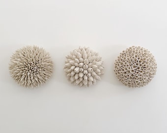 Tidepool Porcelain Wall Sculpture Trio – Made To Order -  Ocean Inspired Ceramic Art, Organic Modern Coastal Decor