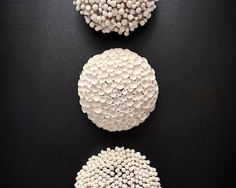 Porcelain Wall Sculpture Trio – MADE TO ORDER - Botanical Ceramic Art, Organic Modern Wall Decor
