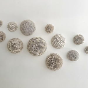 May include: A collection of 10 white ceramic wall sculptures in various shapes and sizes, resembling coral or sea anemones. The sculptures are arranged in a curved line on a white wall.