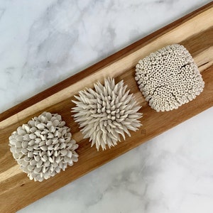May include: Three off-white ceramic sculptures with distinct textures arranged on a long, rectangular wooden tray. The left piece has flat petal-like shapes, the center has sharp spikes, and the right piece features a dense cluster of small tubes.
